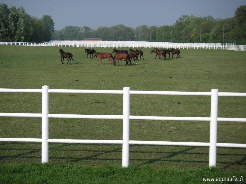 Equisafe - ogrodzenia elektryczne dla koni, pastuch , hdpe, Bydgoszcz, kujawsko-pomorskie