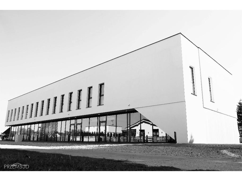 Prace budowlane: domy jednorodzinne, Biskupice Zabaryczne , wielkopolskie