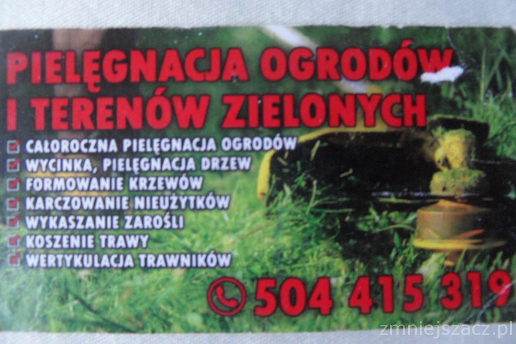 USŁUGI OGRODNICZE, PORZĄDKOWANIE TERENÓW ZIELONYCH, WYCINKA DRZEW, SKOCZÓW,OKOLICE,USTROŃ,CIESZYN,BIELSKO-BIAŁA, śląskie