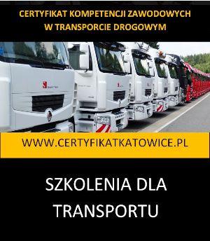 Certyfikat Kompetencji Zawodowych w Transporcie Drogowym Katowice, śląskie