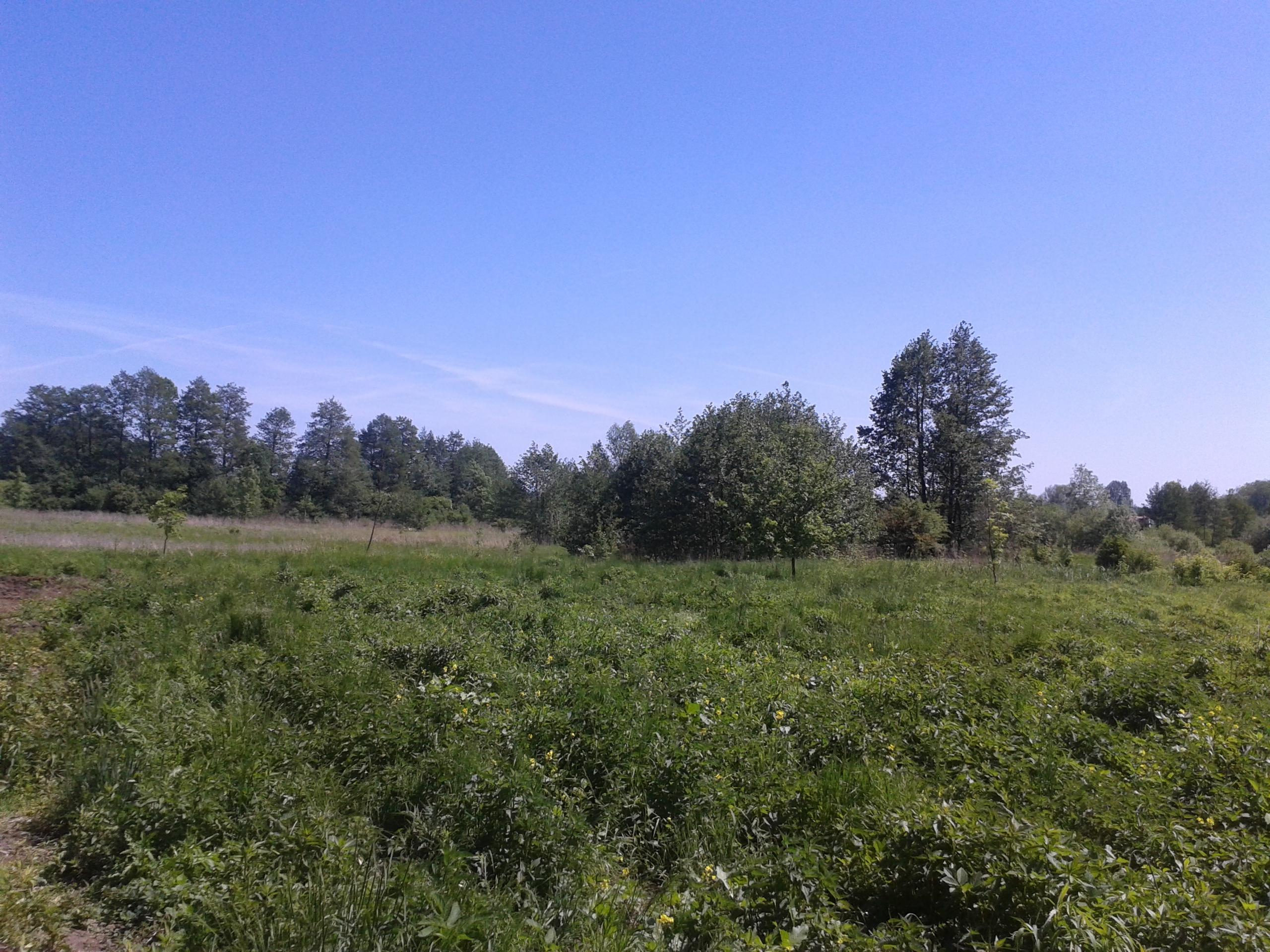 Działki budowlane 10 i 12 arów w Pieszkowie 7km od Lubina, woj. dolnośląskie