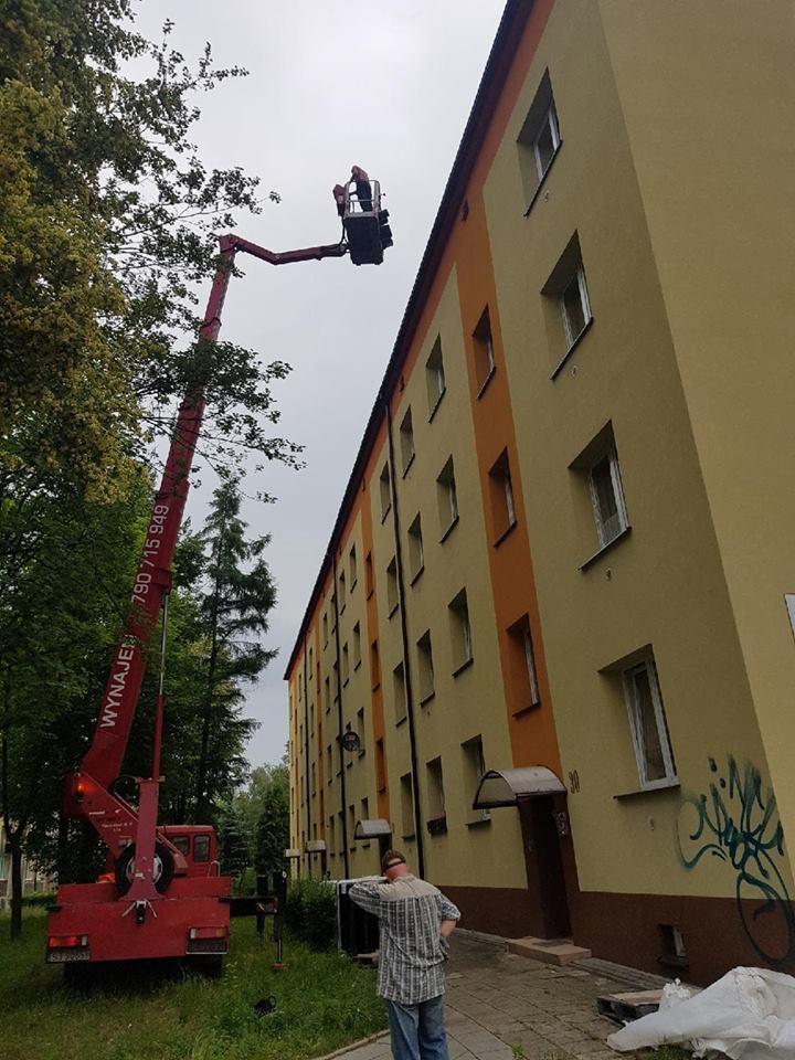 Wynajem podnośników koszowych, Wycinka drzew, zwyżka - cały Śląsk, Jaworzno, Katowice, Sosnowiec, Mysłowice, śląskie