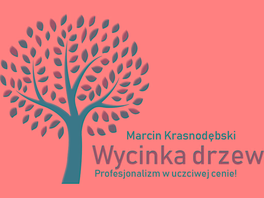 Wynajem podnośników koszowych, Wycinka drzew, zwyżka - cały Śląsk, Jaworzno, Katowice, Sosnowiec, Mysłowice, śląskie