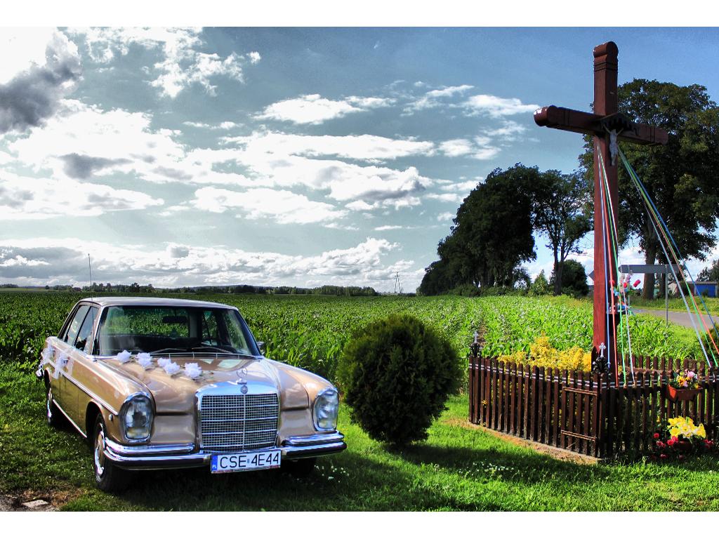 Wynajem auta do ślubu - Mercedes S-klasa z 1969 roku, Kamień Krajeński, kujawsko-pomorskie