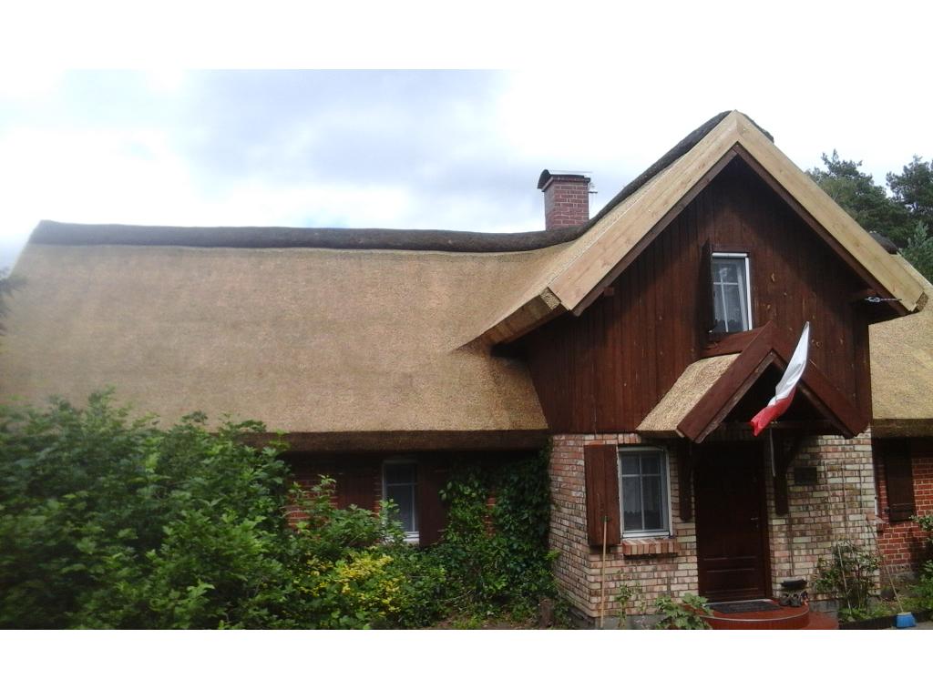 Dachy z Trzciny, Altanka,Strzecha, Trzcina, Dekarstwo , Pelplin, pomorskie
