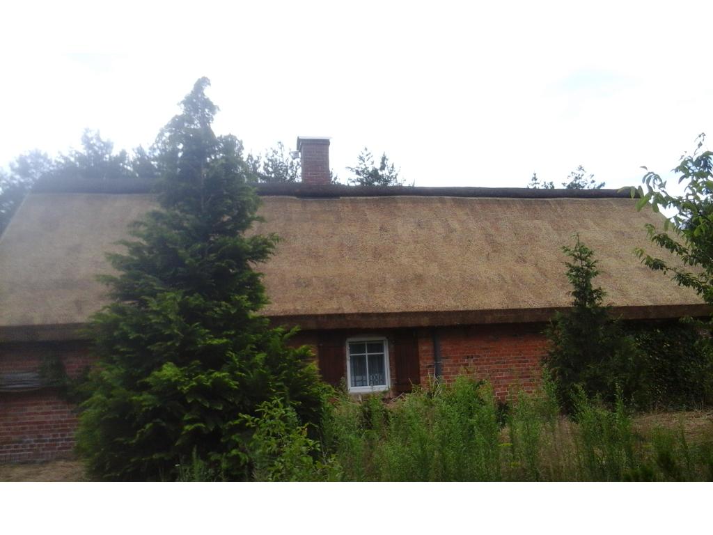 Dachy z Trzciny, Altanka,Strzecha, Trzcina, Dekarstwo , Pelplin, pomorskie