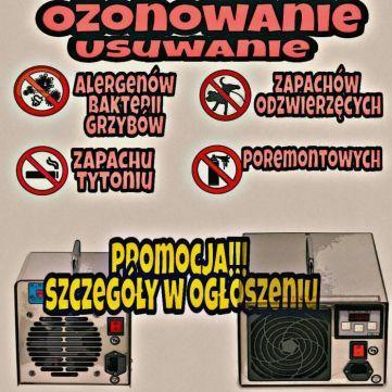 Ozonowanie Zamgławianie Pranie tapicerki rabat Dezynfekcja Dezynsekcja, Bytom, śląskie