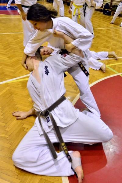 Bydgoska Szkoła Kyokushin Karate