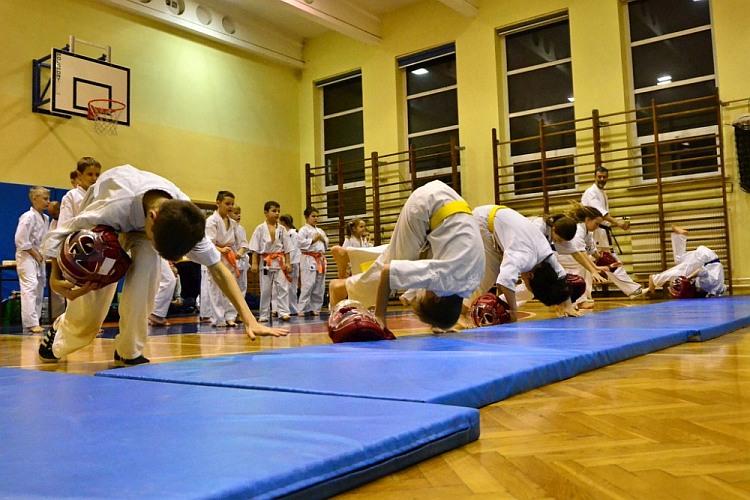 Bydgoska Szkoła Kyokushin Karate