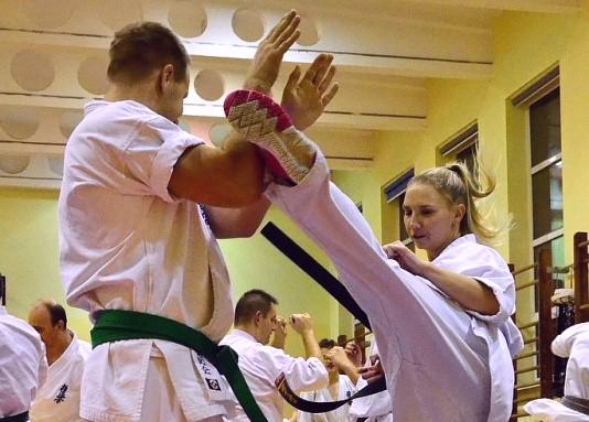 Bydgoska Szkoła Kyokushin Karate - BydgoszczKarate.pl