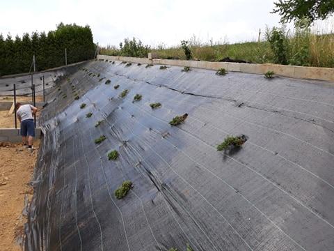 Ogród zieleń pielęgnacja drzew zakładanie trawnik koszenie wycinka, Myślenice, małopolskie