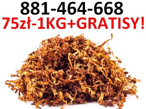 Tani tytoń za 75 zł/1 kg, jakość jak w sklepie! Tyton papierosowy