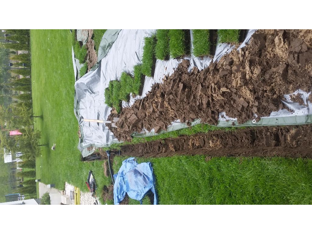 Automatyczne nawadnianie ogrodów, koszenie trawy, opieka nad ogrodami, Zielonka, kujawsko-pomorskie