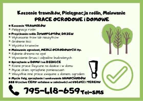 Koszenie trawników, Pielęgnacja roślin, Malowanie PRACE OGRODOWE i DOM, Łomianki, mazowieckie