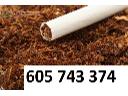 Tani tyton tylko 65zl kg tyton papierowosy tyton do gilz tytoń GWARANC