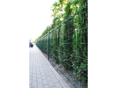 Panel ogrodzeniowy zielony RAL 6005 - kliknij, aby powiększyć