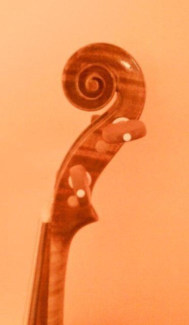 profil główki - skrzypce barokowe