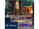 Zyskaj aż 400 zł na zakupy na Allegro!