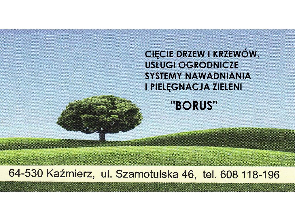Zakładanie pielęgnacja koszenie trawy trawniki ścinka drzew nawadna, Poznań, wielkopolskie