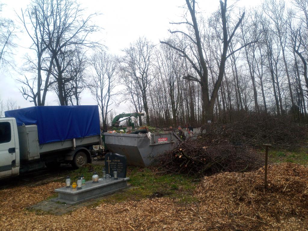 Wynajem rebaka do galezi Bytom , uprzatniecie dzialek po wycince, Radzionków, śląskie