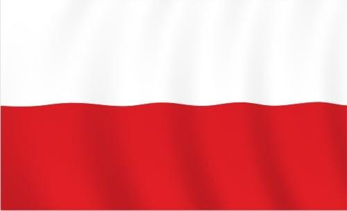 Język polski dla obcokrajowców, język polski dla cudzoziemców, Poznań, Warszawa, Wrocław, Kraków, Zabrze, wielkopolskie
