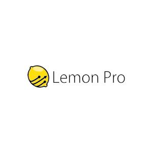 Opieka informatyczna dla firm - LEMON PRO, Warszawa, mazowieckie