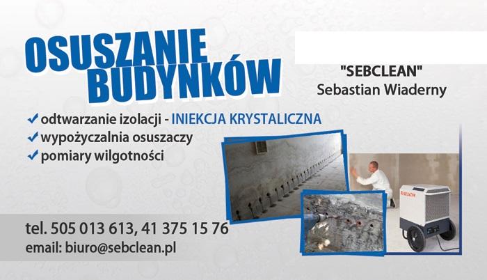 OSUSZANIE ŚCIAN MURÓW BUDYNKÓW PIWNIC INIEKCJA KIELCE BUSKO OPATÓW , Kielce, Busko Zdrój, Sandomierz, Staszów, świętokrzyskie