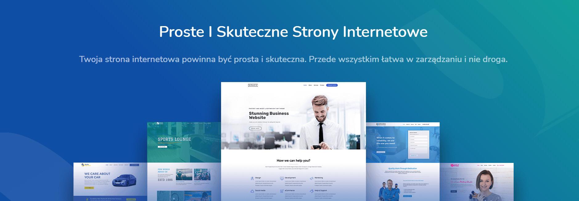 Strony internetowe proste szybkie i skuteczne za 29 zł , Warszawa, mazowieckie