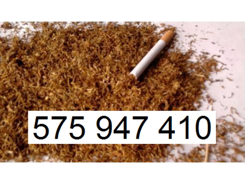 Tani tytoń papierosowy, tytoń do palenia tanio www.Tyton-Hurt.pl