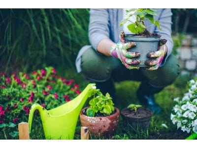 5 czynności, które musisz wykonać przed sezonem w ogrodzie