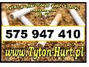 Tytoń papierosowy na wagę  *NAJLEPSZY* tani tyton tel. 575 947 410