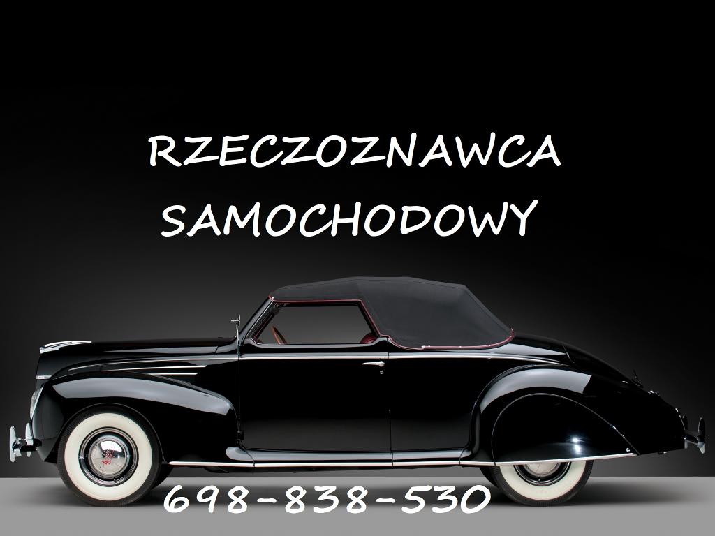 Tłumaczenia przysięgłe dokumentów samochodwych, Tłumacz, Akcyza, , Warszawa, mazowieckie