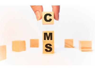 Firmowe strony WWW. Jak wybrać najlepszy system CMS dla biznesu? 