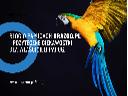 Blog o tematyce papug domowych - pożyteczne informacje dla właścicieli, cała Polska