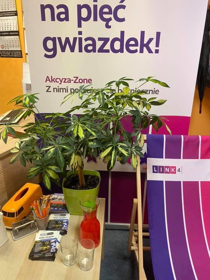 Rejestracja samochodu dla Cudzoziemca Rejestracja pojazdu szybko, WARSZAWA, mazowieckie