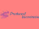 Producent Boczniaków