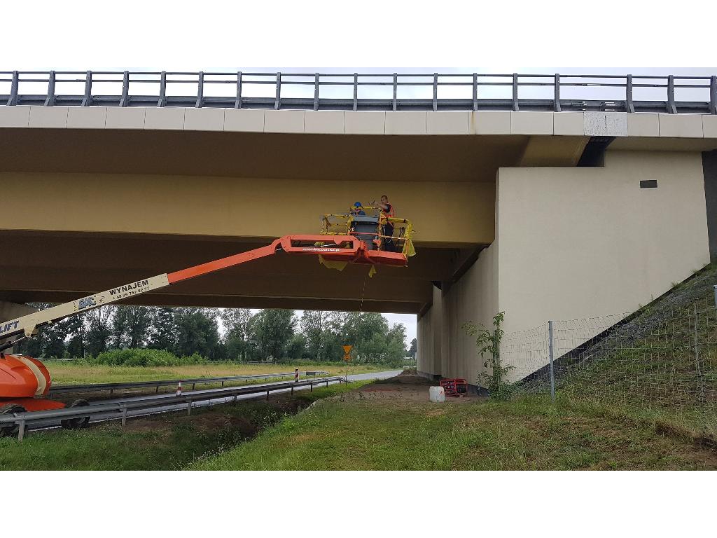 Osuszanie budynków, izolacje, iniekcje budynków, Legnica , dolnośląskie