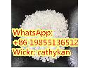 CAS 2079878-75-2 Factory Supply Sell 2-(2-Chlorophenyl)-2-nitrocyclohe