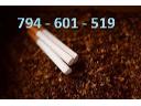 Tani najlepszy tytoń, wysoka jakość tytoniu, Tyton papierosowy Marlbor