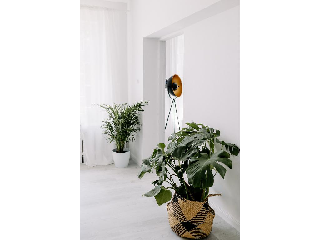 Studio - apartament do sesji zdjęciowych, Sosnowiec, śląskie