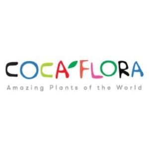 Kwiaty doniczkowe domowe - CocaFlora, BANIOCHA, mazowieckie