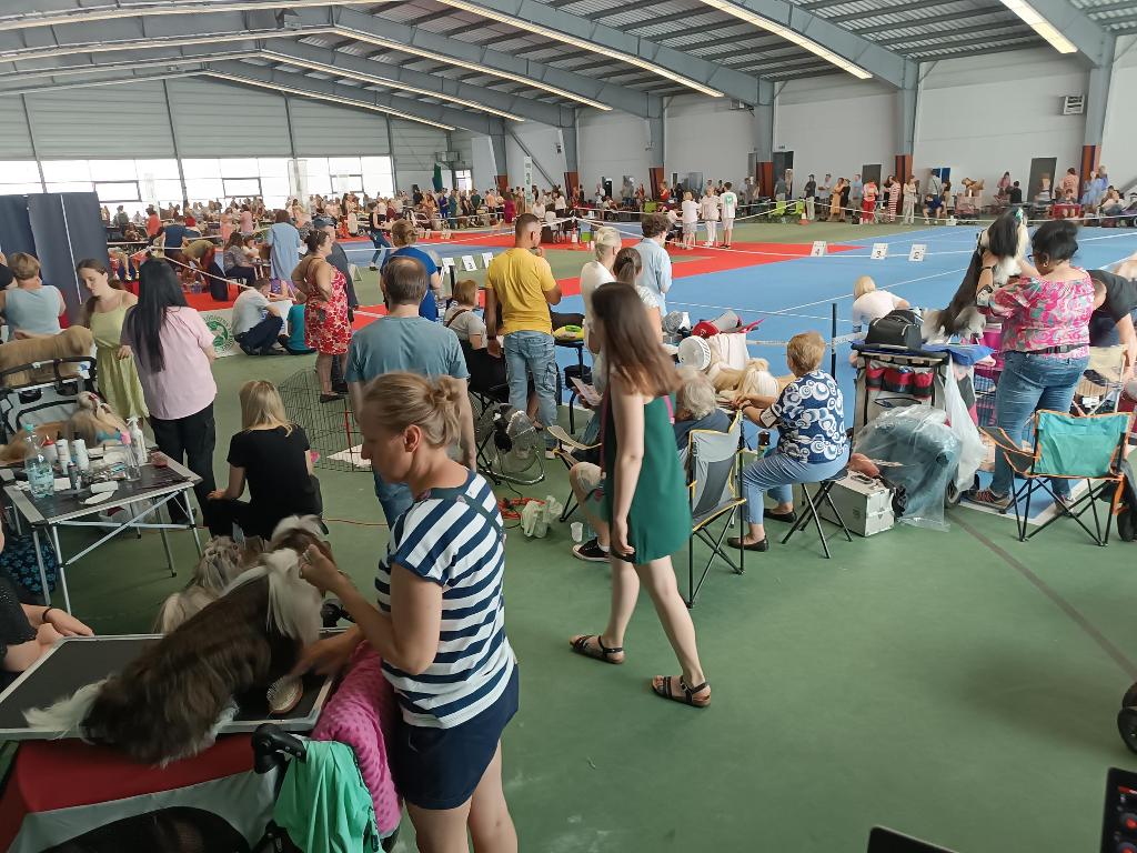 Catering grile firmowe pikniki + wyposażenie namioty parasole ławy , Kraków, małopolskie