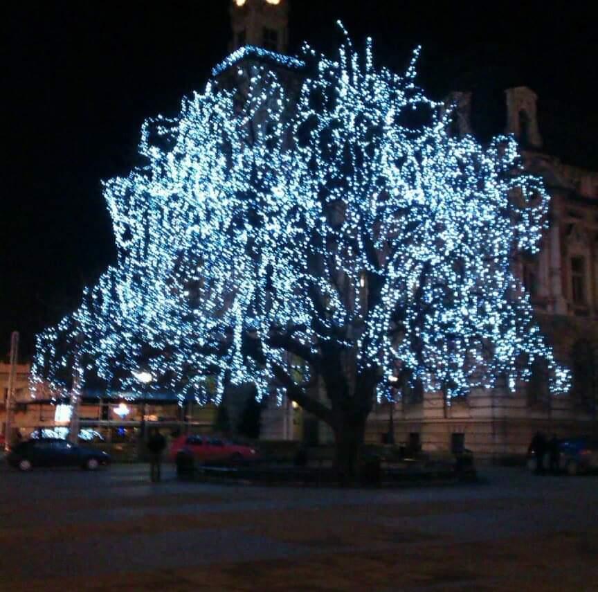 Ogrodnictwo , Nowy Sącz, Limanowa, Gorlice, Czchów,, małopolskie