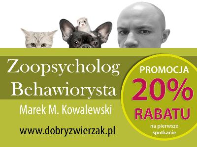 DobryZwierzak.pl - kliknij, aby powiększyć