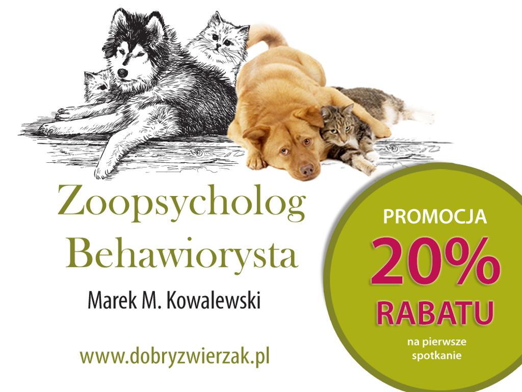 DobryZwierzak.pl