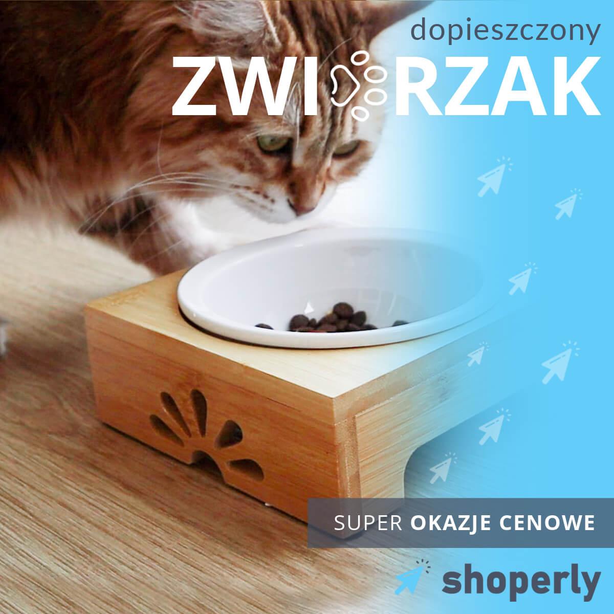 oferta dla zwierząt