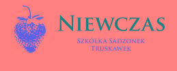 Niewczas Szkółka Sadzonek Truskawek - sadzonki truskawek, Sośno, kujawsko-pomorskie