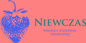 Niewczas Szkółka Sadzonek Truskawek - sadzonki truskawek, Sośno, kujawsko-pomorskie