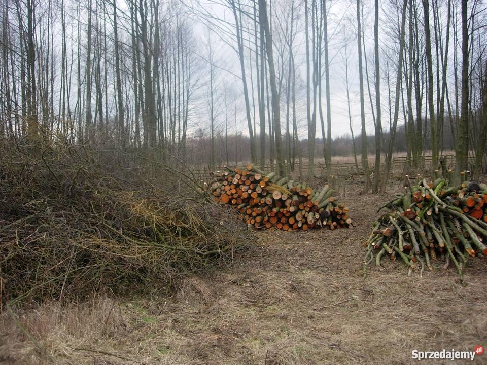 RĘBAK DO GAŁĘZI, rozdrabniacz - wynajem, usługi. Wypożyczalnia Opole , Opole, Olesno, Kluczbork, Częstochowa, Wrocław, opolskie