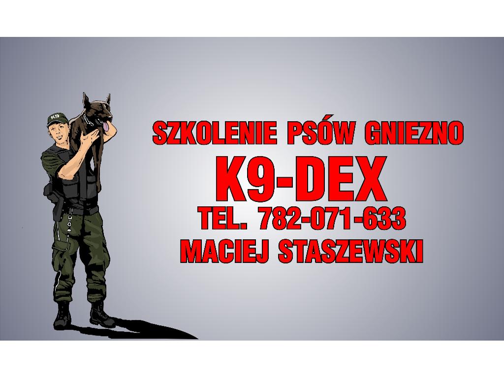 Szkolenie Psów Gniezno K9 Dex Szkolenia Psa w Gnieźnie Trener Treser, wielkopolskie